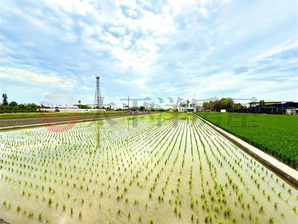 田尾三豐前後有路美田地