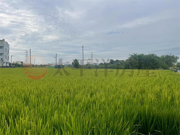 田中新外三段角地美田