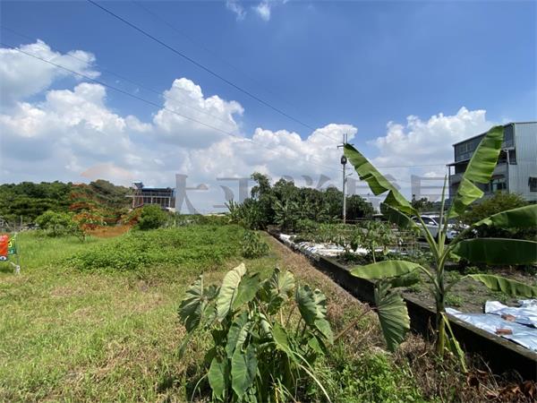 二水伍伯近市區優質美田
