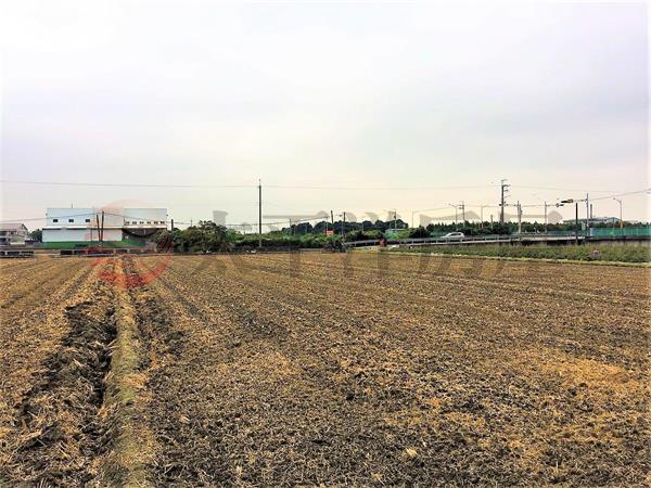 永靖永興路黃金良田