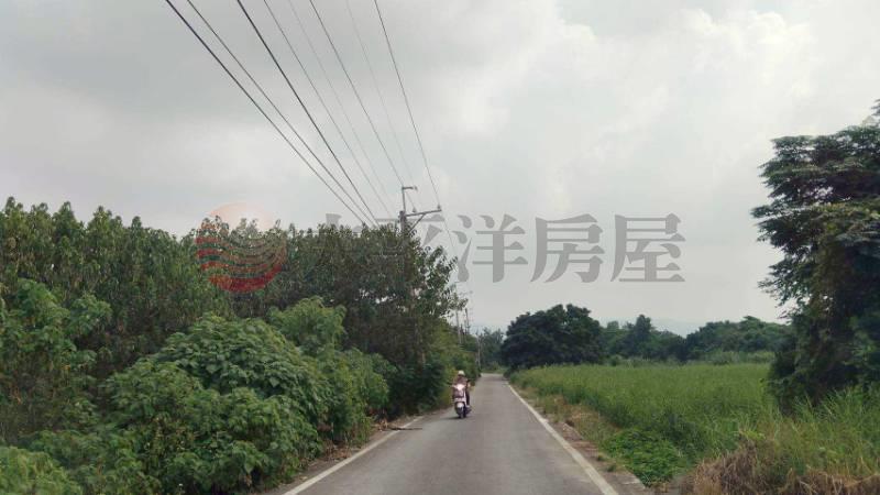松柏養護中心旁田地
