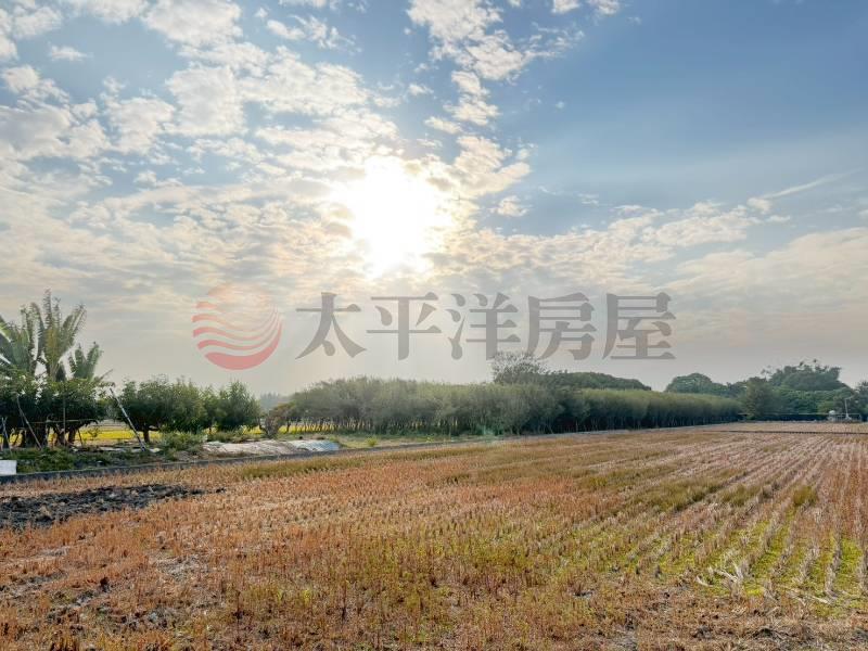 田中近斗中路美田