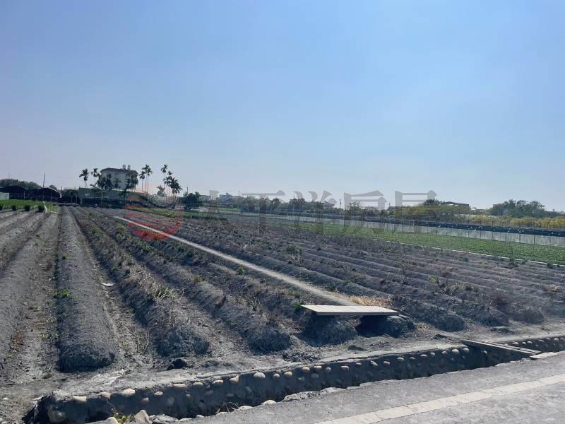田尾福新段美田