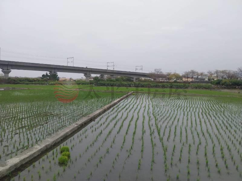社頭新埤清段農保田