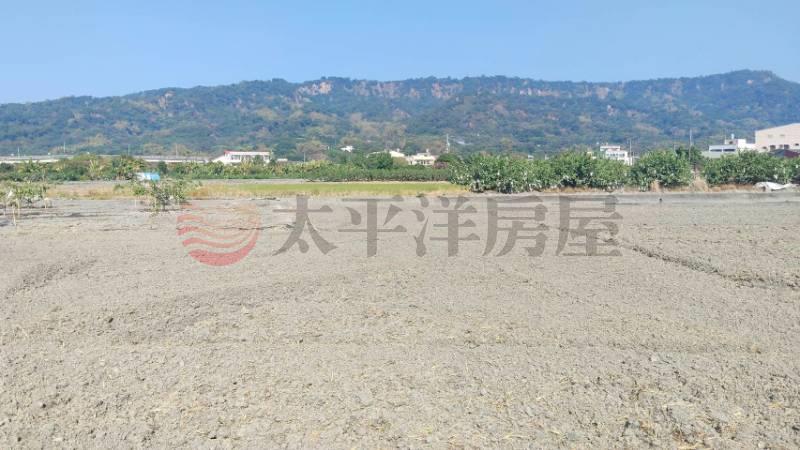 南通路水稻肥田