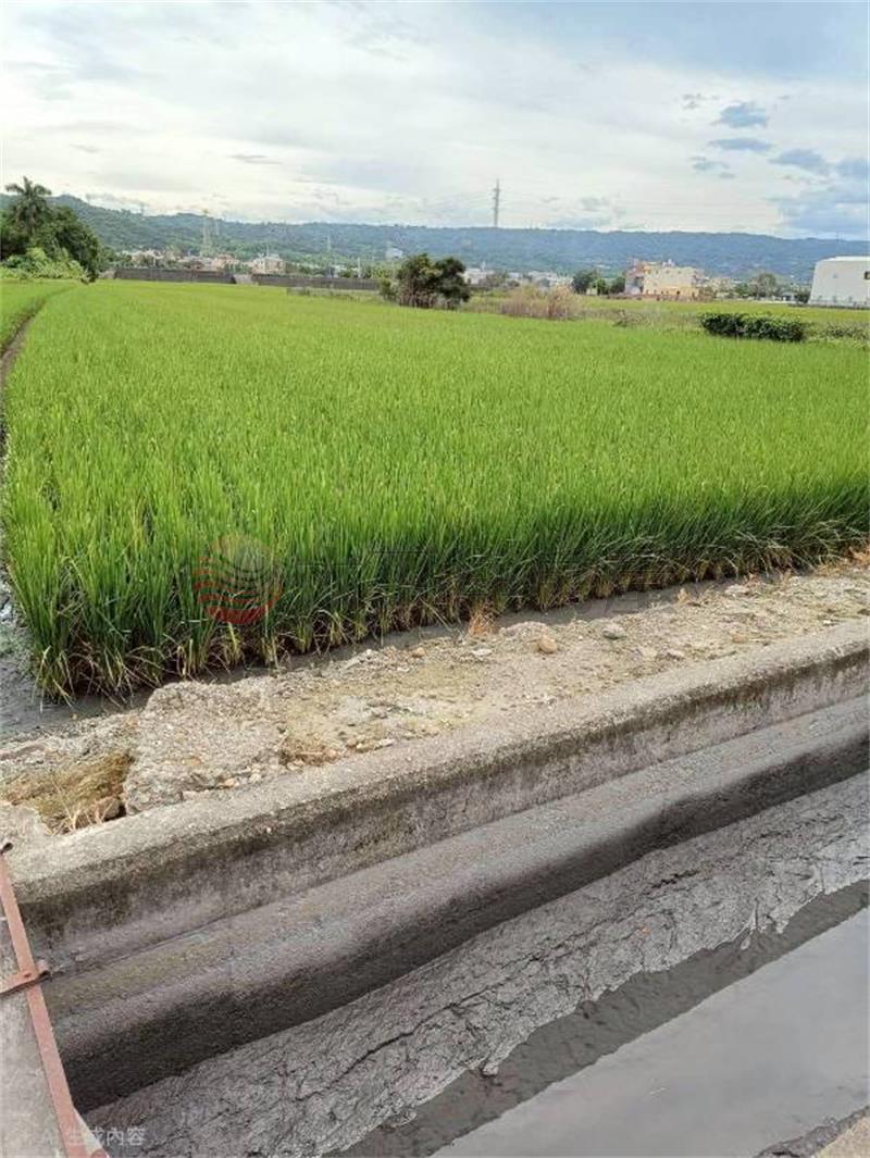 員林近浮圳路大面寬農地