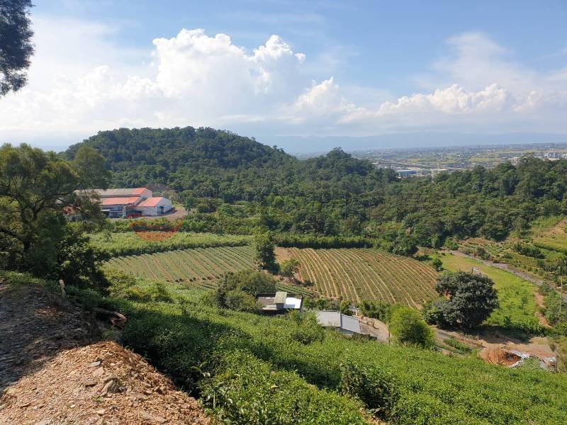 武荖坑風景區山坡地