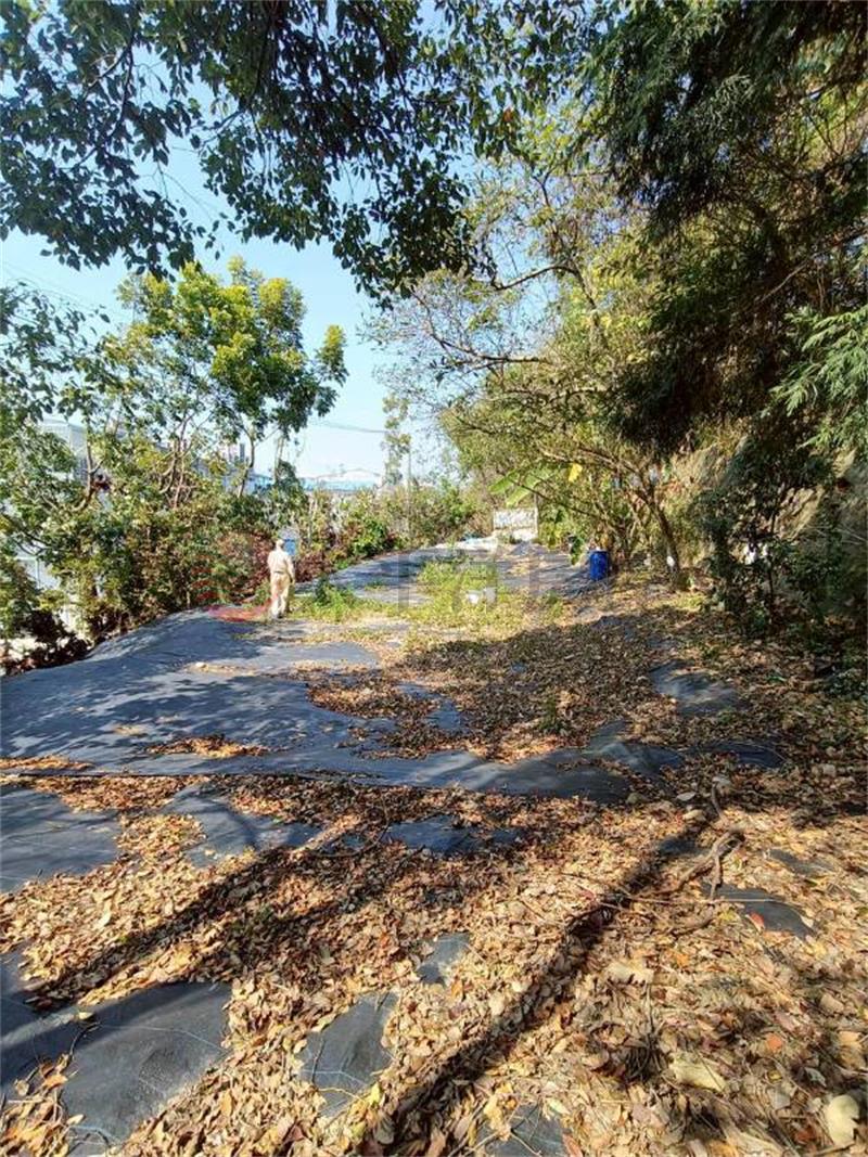 富陽路建地
