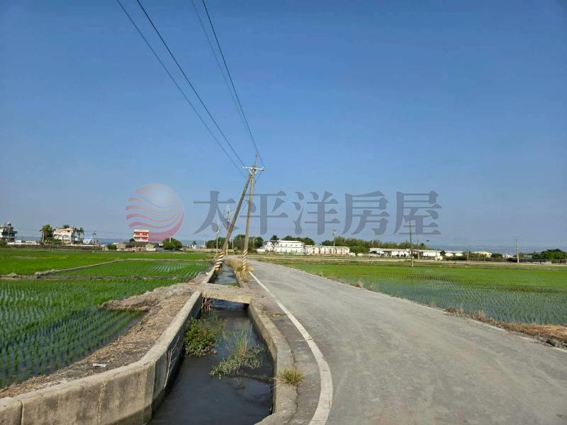 大村近大西國小農保田