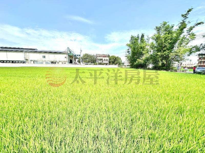 六張農地
