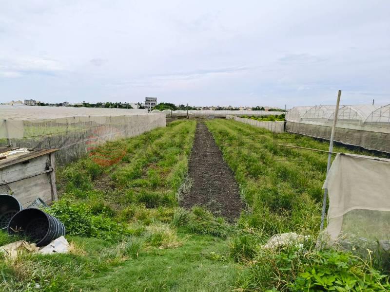 溪湖庭忠段大美田