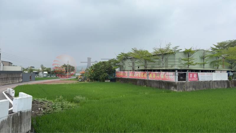 員林浮圳路開心農場