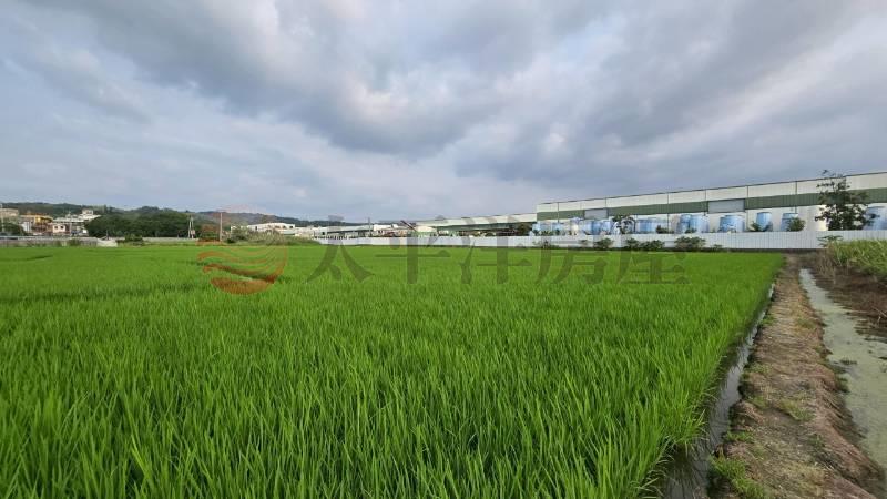大村近東彰北路持分農地