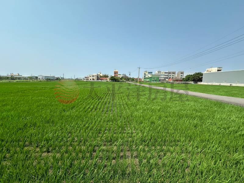 秀水村西巷雙臨路農地