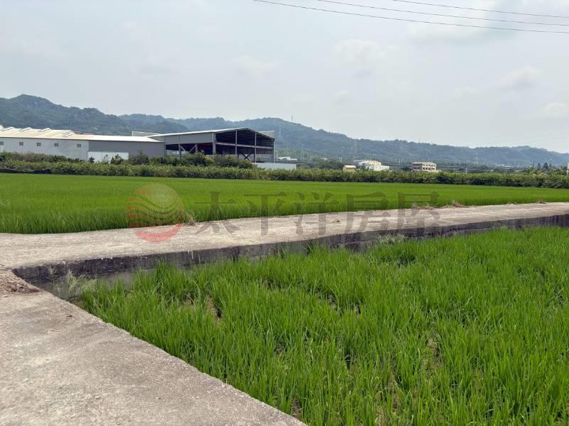 社頭社石段田地