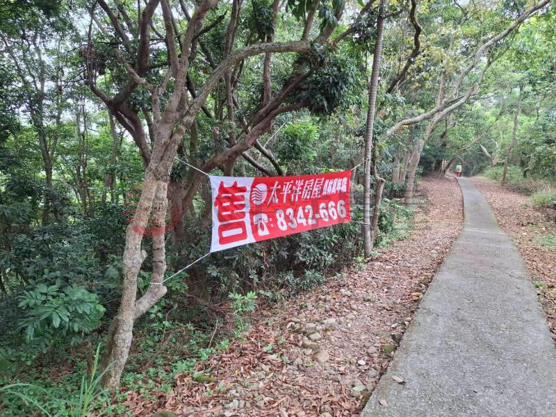 員南段農地