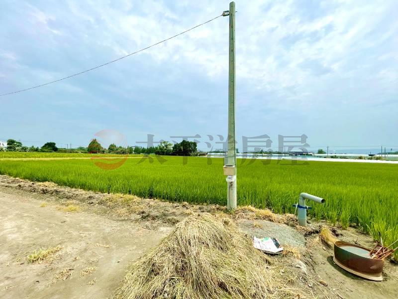 北斗合作農場旁田地