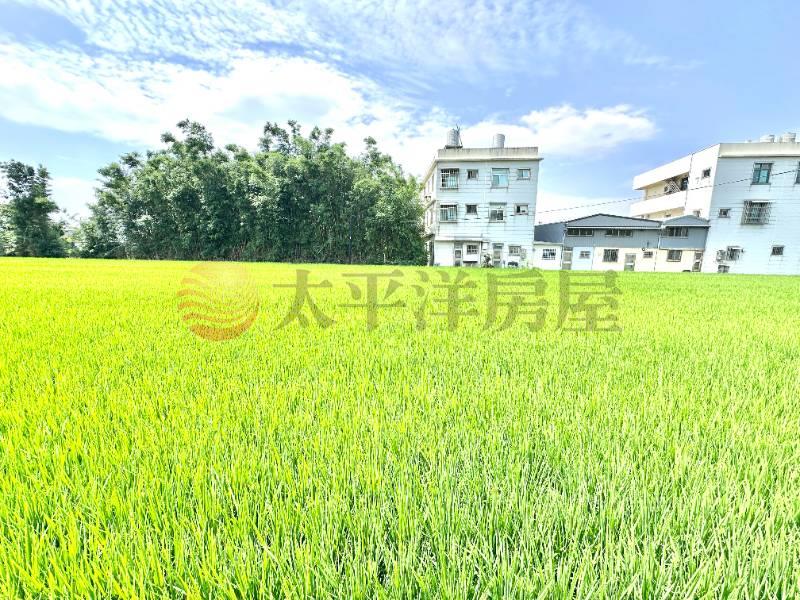 大圳824農地