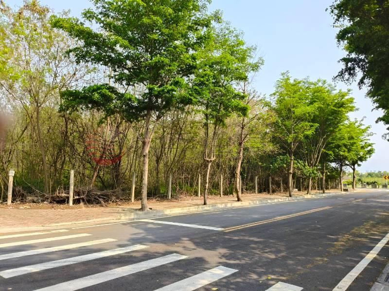 田中高鐵雙面路角地