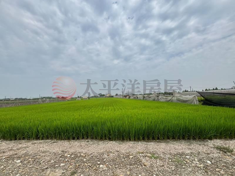 溪湖超俗美田