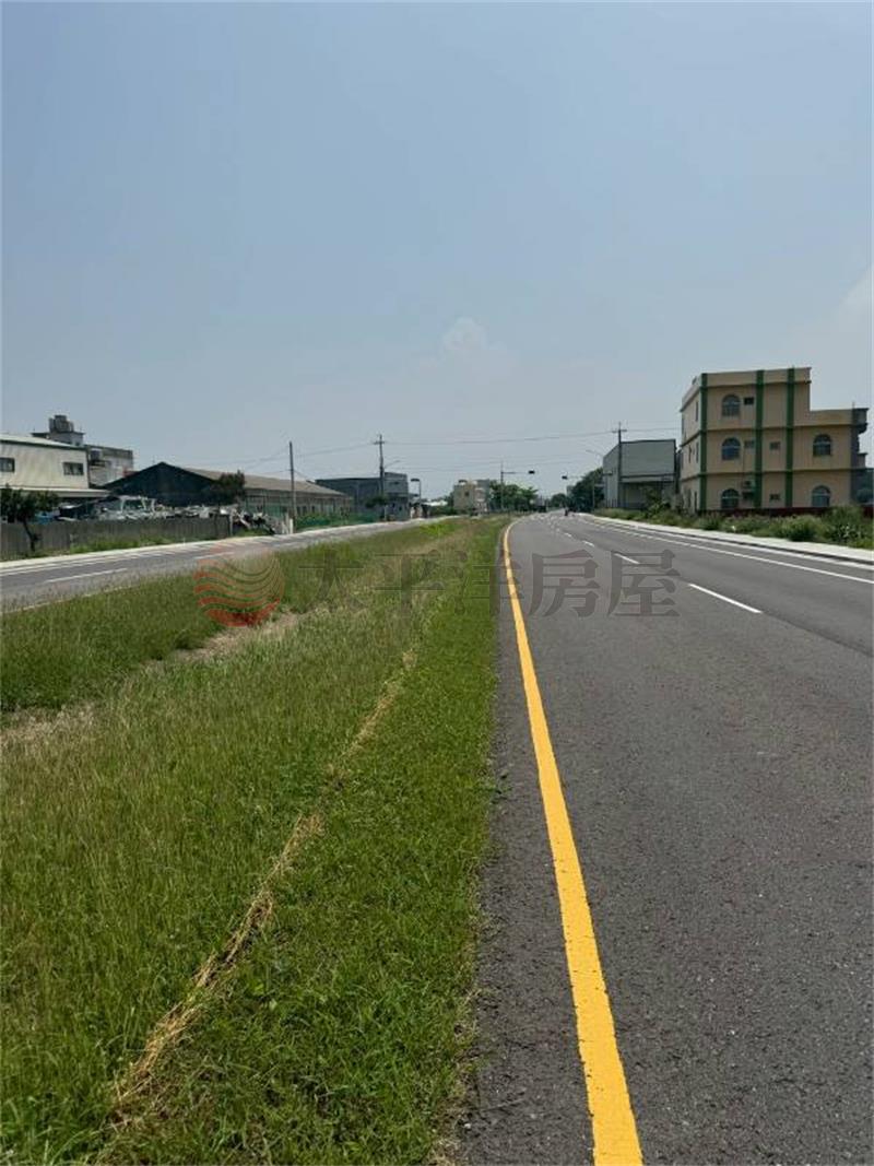 美港公路旁小田田