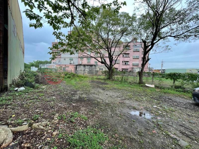 新屋中山段農地