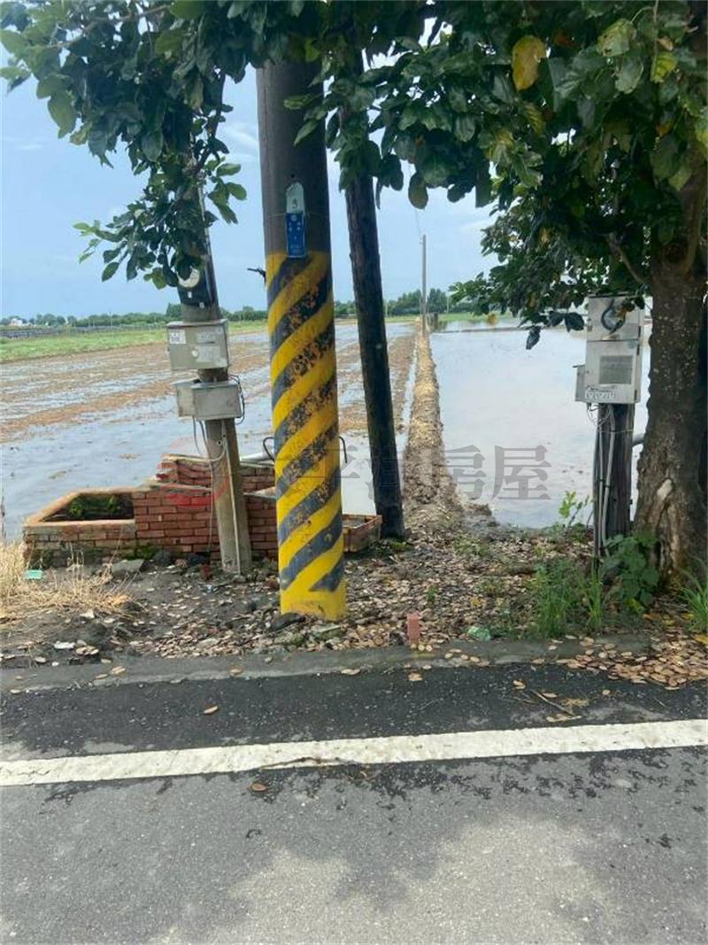 埤頭大湖路美田