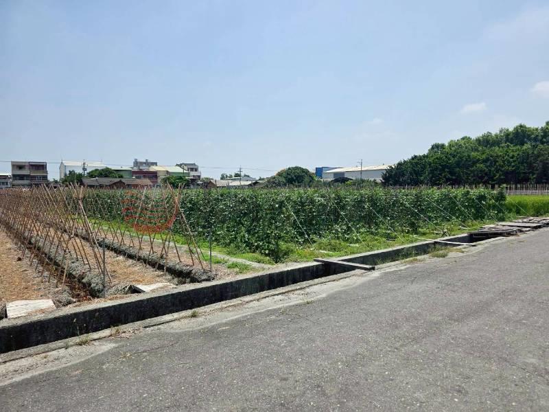 田尾仁豐國小休閒農地