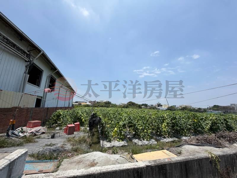 新雅路旁優質美田