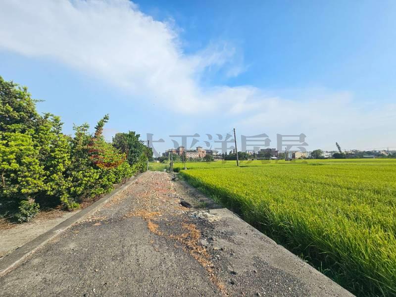溪湖青宅巷旁田地