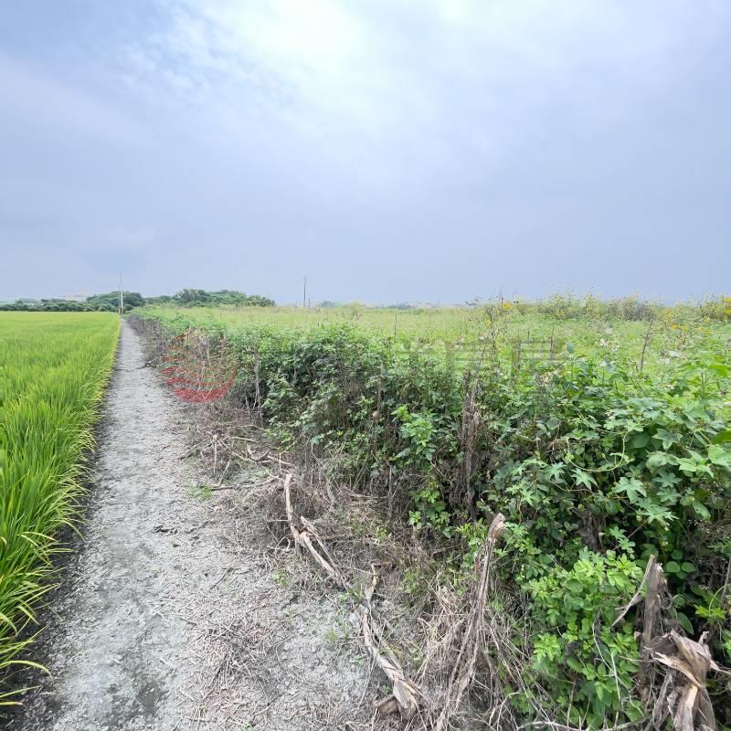 芳苑田園夢想農地｜草二段