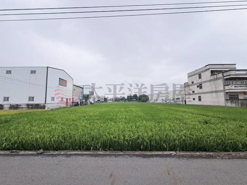 埔鹽彰水路旁朝南美田