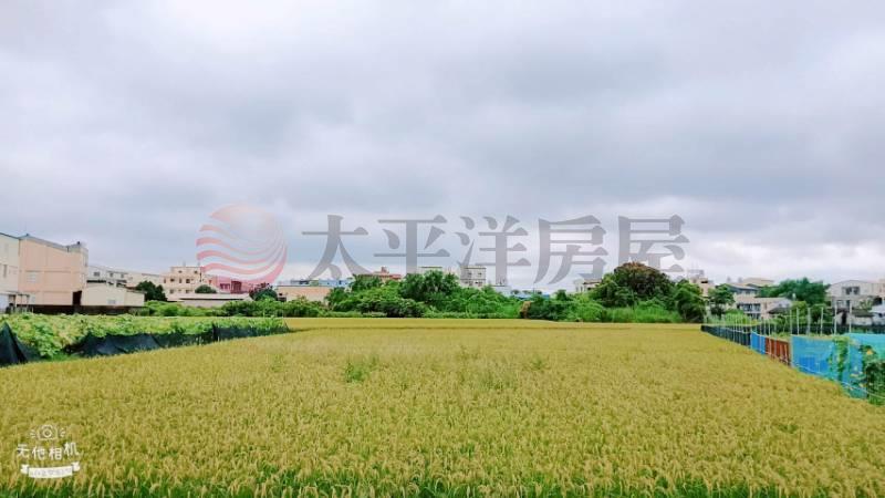員林市近東彰路大面寬美田