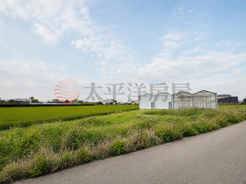 鹿東分院合法溫室植栽培設施+田