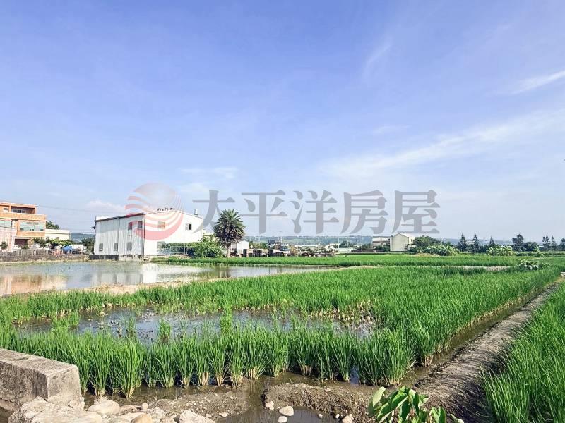 台中清水高美農地２