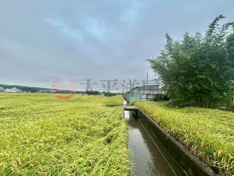縣芬路土地公旁便宜農地