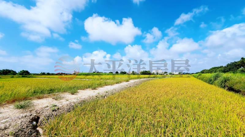 專任臨港路旁鐵路綠地用地