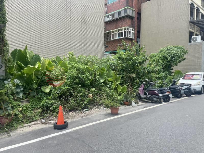 大溪-稀有建地