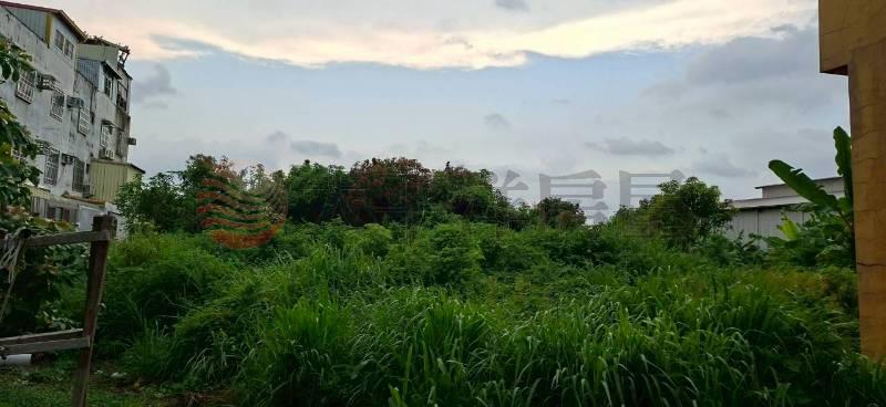 都計內近林厝交流道美農地