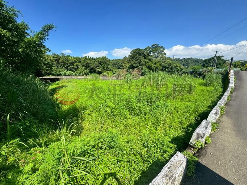 大溪信義段美農地