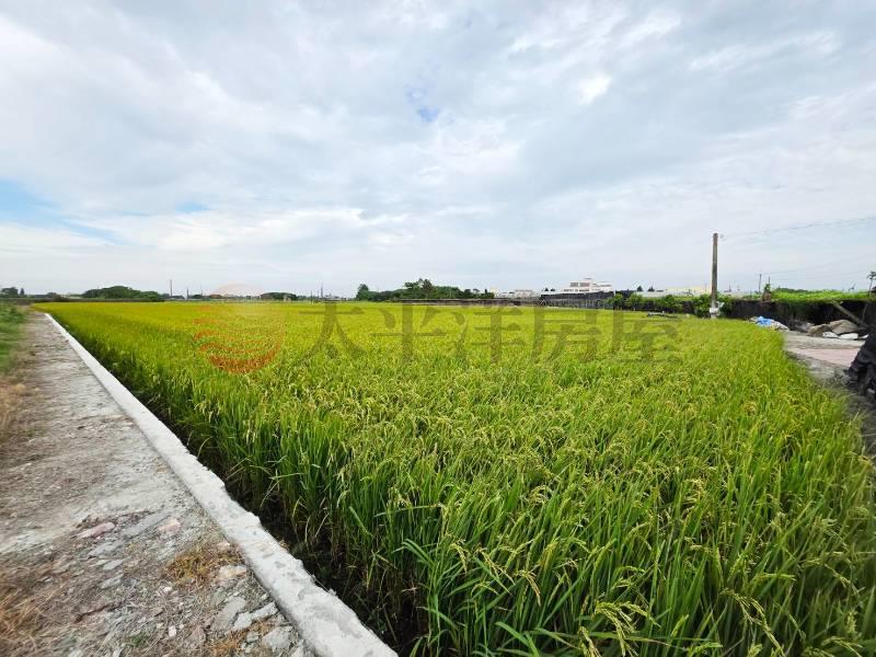 溪湖通學路農保田
