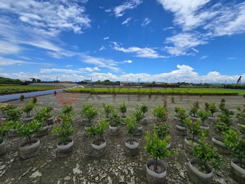 永靖福中段3.7分方正農地