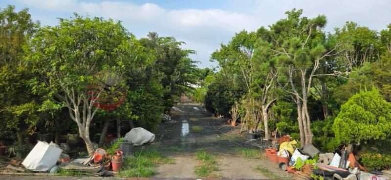 北斗近市區雙面路大地坪增值農地