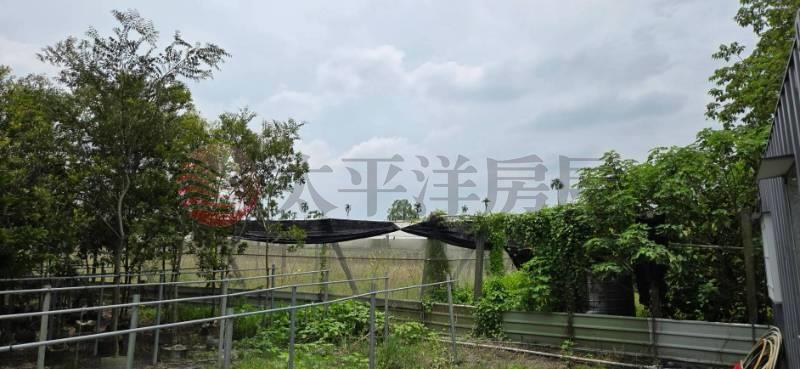 埔心近新舘路溫室農地