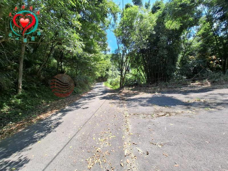新竹新埔臨路合法丙建(308)+農地