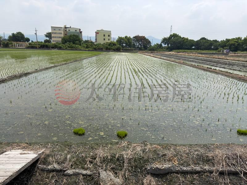 (專簽)田中自用農保高鐵發展美田地