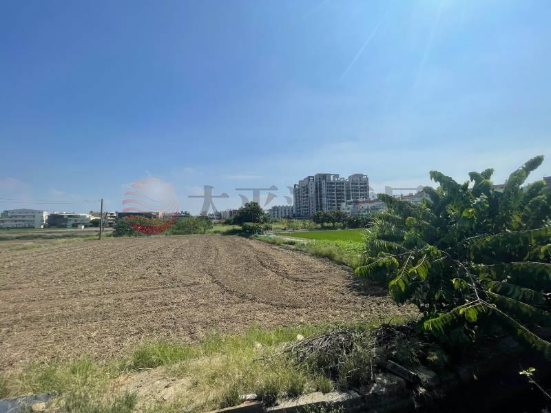 近和美交流道美農地