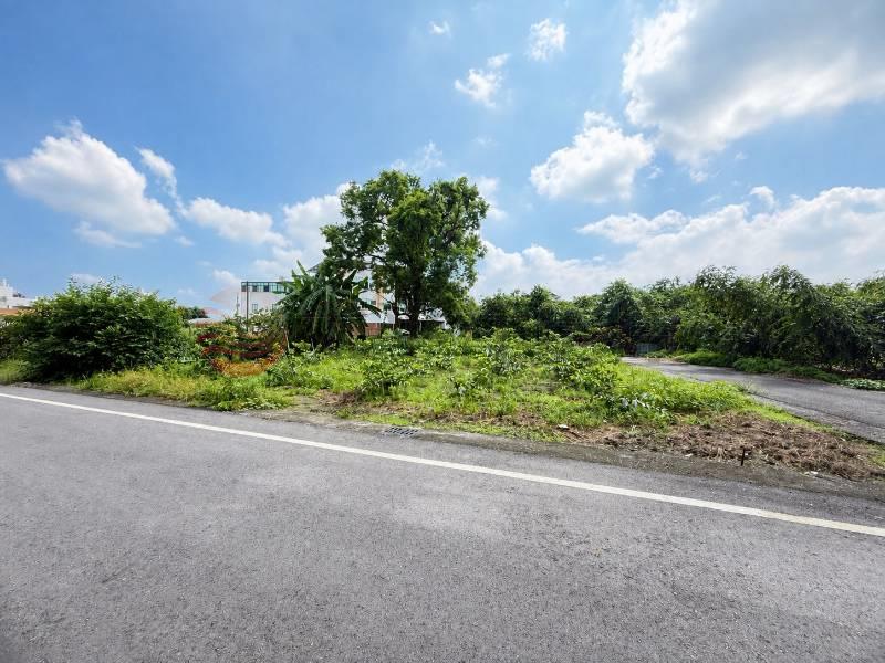 高鐵特專區雙面路農地