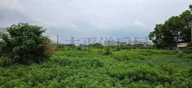 埔心羅厝路旁都內增值農地