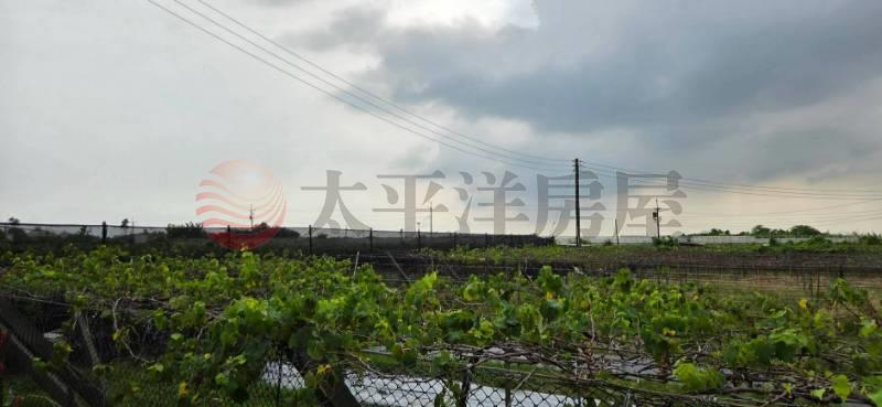 溪湖彰交特區湳底都內農地